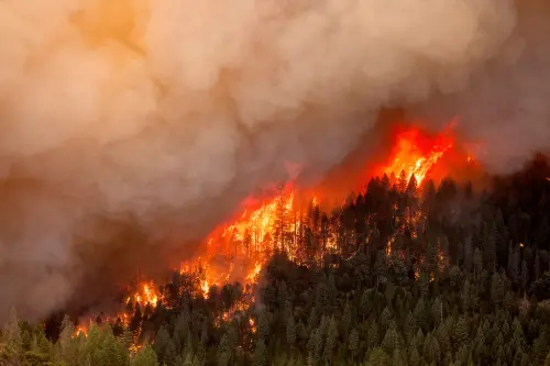 ▲美國加州在當地時間25日晚間爆發野火，火勢一發不可收拾，迄今已經燒毀30萬7千英畝土地，當局投入2400位消防員進行滅火工作，但至今火勢控制率仍為0。（圖／美聯社／達志影像）