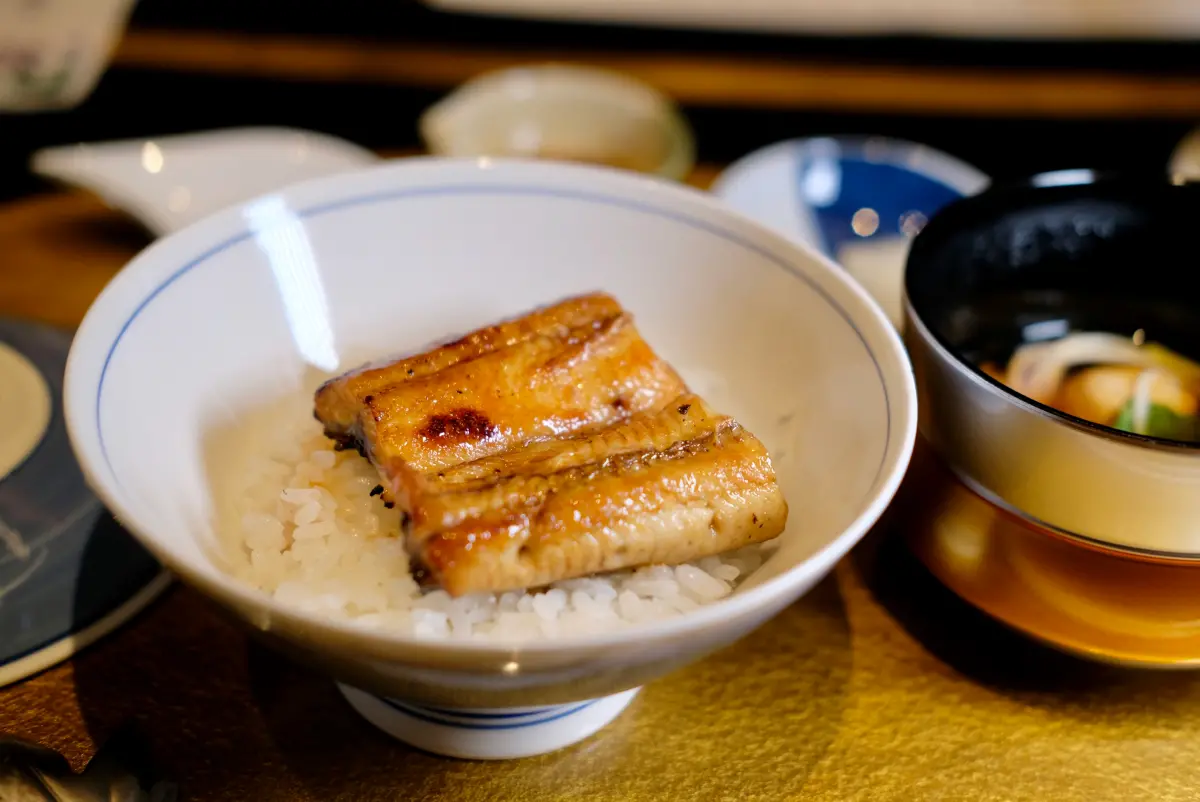 日本土用丑日要吃鰻！精選4家 6道鰻魚吃到飽、便當「買一送一」