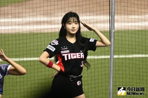 ▲19歲「AI美人」李珠珢,隨起亞虎啦啦隊來到台灣,參加富邦悍將賽事,在場邊也跳起張育成的應援舞,並擺出招牌的「敬禮手勢」。(圖/林柏年攝) ▲19歲「AI美人」李珠珢,隨起亞虎啦啦隊來到台灣,參加富邦悍將賽事,在場邊也跳起張育成的應援舞,並擺出招牌的「敬禮手勢」。(圖/林柏年攝)