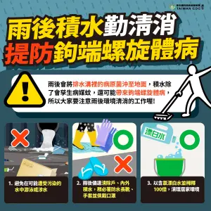 雨後積水勤清消,提防「鉤端螺旋體病」 ▲雨後積水勤清消,提防「鉤端螺旋體病」。(圖/高市衛生局)