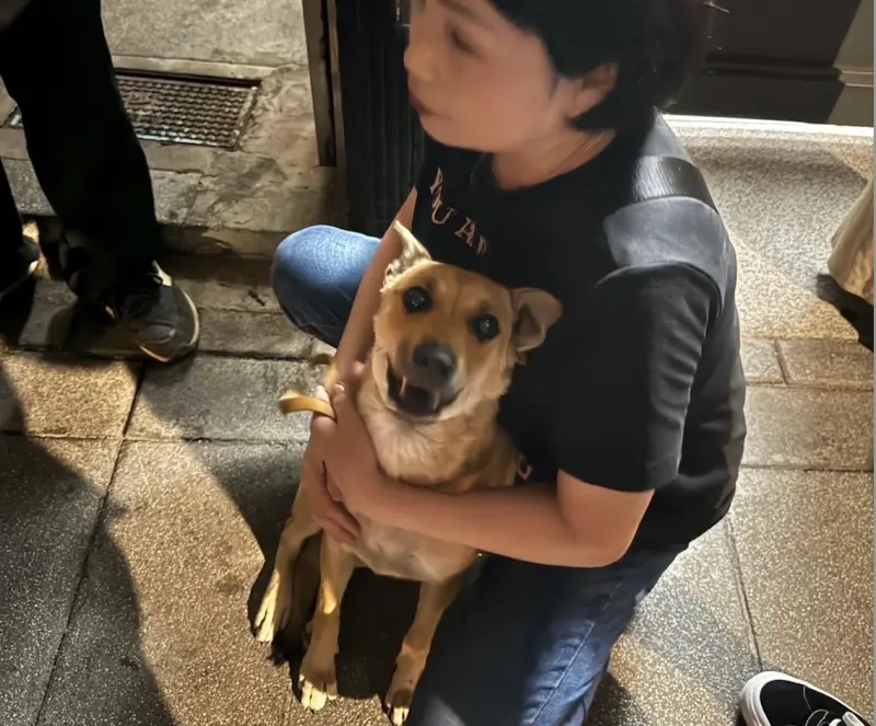 ▲台北市議員柳采葳爆料一起離譜虐狗案,飼主在陽台棒毆、試圖勒斃小狗,被對面鄰居全程拍下並通報動保處。(圖/柳采葳辦公室提供)