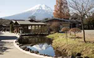 「忍野八海」遭當許願池！遊客狂丟硬幣「堆1m高」　當局不忍了
