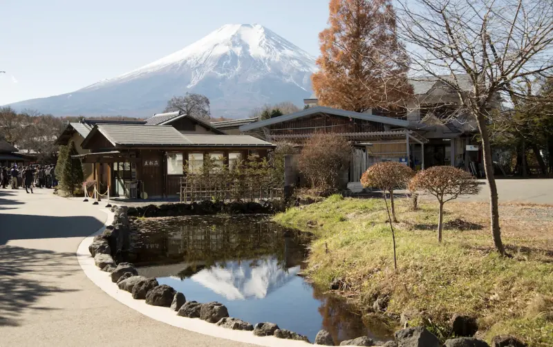 ▲日本山梨縣的知名景點「忍野八海」因為被觀光客當成許願池狂丟硬幣，生態受到威脅。（圖／翻攝自日本觀光局）