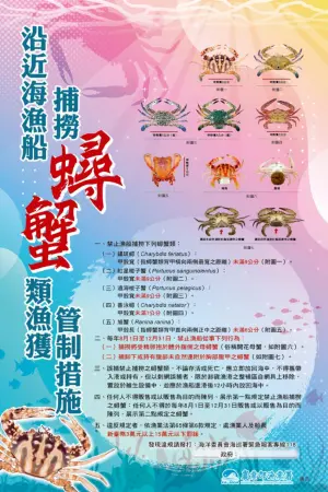 漁業署 ▲每天8月至12月,農業部漁業署禁止捕抓、販售抱卵母蟹違者最高罰15萬元。(圖/漁業署)