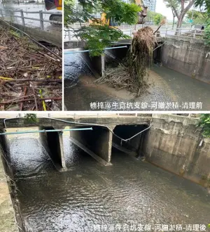 高市水利局積極復原排水設施　提醒勿入綠地設施封閉區
