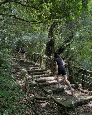 ▲▼劉嘉玲和閨密造訪陽明山，並到竹子湖知名土雞城用餐，眾人小酌怡情。（圖／劉嘉玲IG）