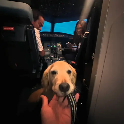 Burger Han與愛犬Money一起走了53個國家,坐了120趟飛機,也經歷生死關頭。(圖/取自Burger Han臉書) ▲Burger Han與愛犬Money一起走了53個國家,坐了120趟飛機,也經歷生死關頭。(圖/取自Burger Han臉書)