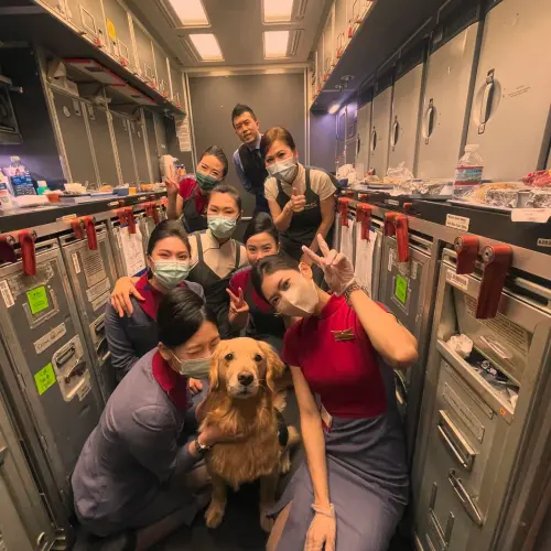 Burger Han與愛犬Money一起走了53個國家,坐了120趟飛機,也經歷生死關頭。(圖/取自Burger Han臉書) ▲Burger Han與愛犬Money一起走了53個國家,坐了120趟飛機,也經歷生死關頭。(圖/取自Burger Han臉書)