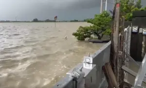 影／外面一片汪洋！最猛「擋水神器」守住百年米廠　震撼畫面曝光
