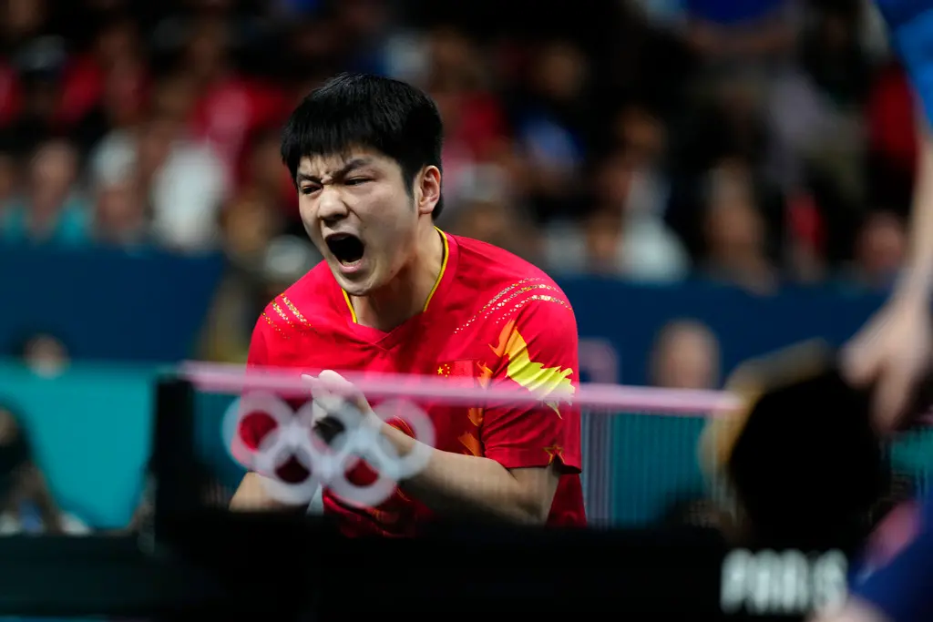 王者歸來再創紀錄！樊振東連贏世界前二 衛冕中國全運會男單冠軍