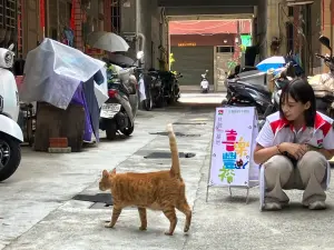 房市／信義房屋造5座浪浪屋　動物共融基地獲居民讚賞
