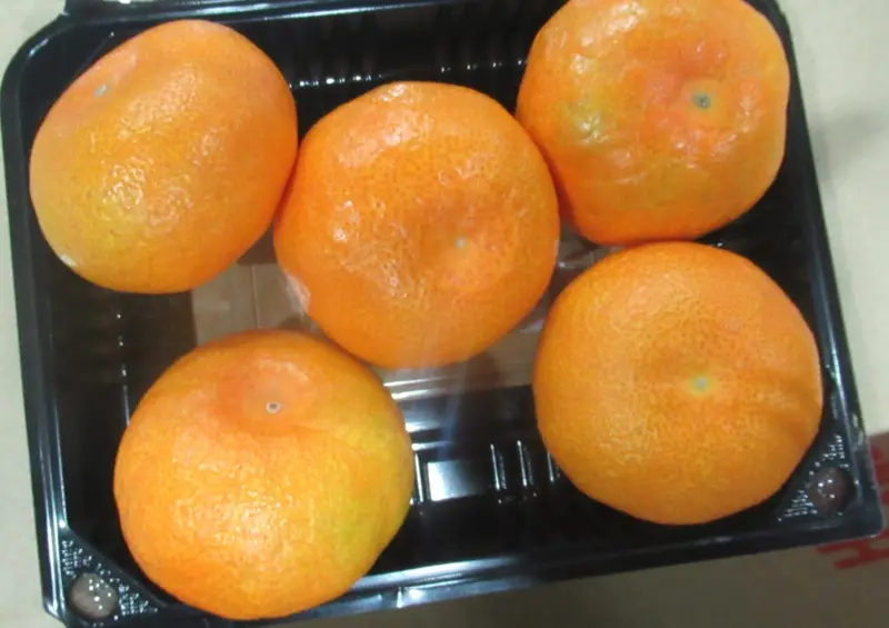 ▲日本出口「蜜柑(FRESH ORANGE (KARATSU MIKAN))」檢出農藥殘留含量不符規定。（圖／食藥署）