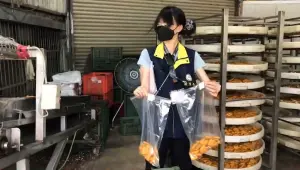 ▲桃園衛生局進行中元節應景食品抽驗，其中1件「硬干」檢出「過氧化氫」不符規定。（圖／桃園衛生局）