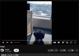 ▲高英旭第一支YouTube影片竟有5萬瀏覽，頻道還破千名訂閱者。（圖／Go!영욱 YouTube）