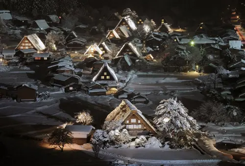 日本「熊出沒」範圍擴大！合掌村傳野熊襲擊外國客　展望台急關閉
