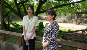 首度到北市動物園！蕭美琴興奮看「羚羊」讚麟洋是台灣羽球界驕傲
