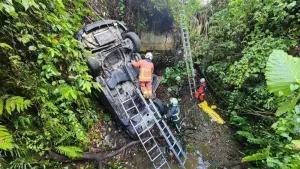 新北五股驚傳車禍！休旅車失控墜落5米深山溝　釀母女一度受困
