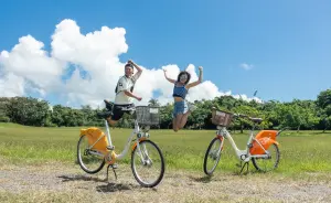 ▲今年1至7月屏東YouBike的累積運量達到98萬5,545人次，超越了去年全年運量，第200萬人次的幸運騎乘者將獲得一卡通加儲值金1000元。（圖／屏東縣府提供）