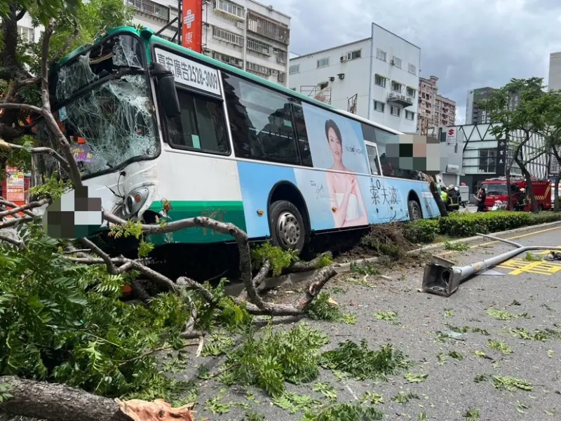 ▲一輛公車行經蘆洲集賢路時，突然衝上分隔島撞斷路樹。（圖／翻攝畫面）