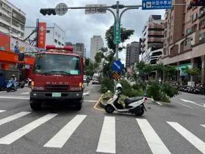 ▲一輛公車失控撞斷路樹，警消獲報後立刻派員到場處理。（圖／翻攝畫面）