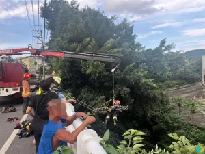 疑恍神釀禍！新北男大生騎車自撞橋墩　墜6米深溪床受傷送醫
