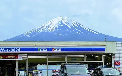 富士山美景被擋!中國4惡男竟偷當伐木工砍鄰樹 毒害23棵樹木