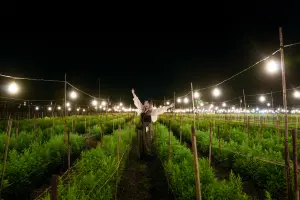 農村水保署推夏日夜遊小旅行 田尾星光季越夜越美麗
