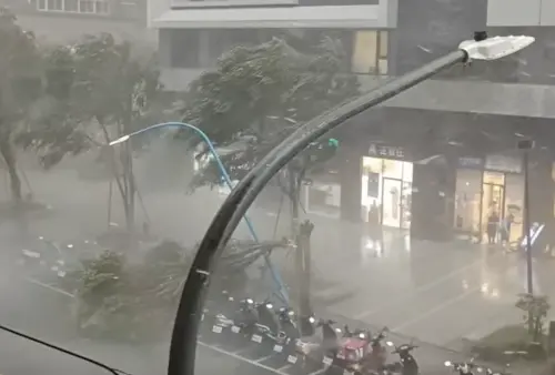 大雷雨襲新北！土城瀑布雨「路樹吹倒」畫面曝　眾看傻：比颱風扯
