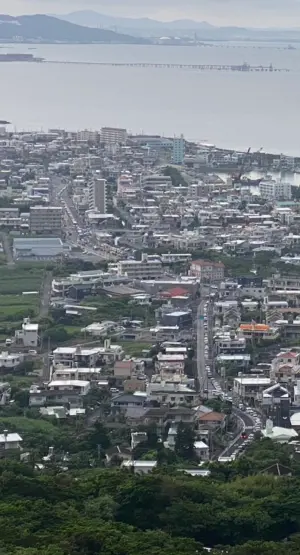 ▲民眾在地勢較高的地方拍下了珍貴照片，從南城市市區前往好市多的道路，全部都是停著的車輛，每一台車都在等待進入好市多。（圖／X@takenom_00）