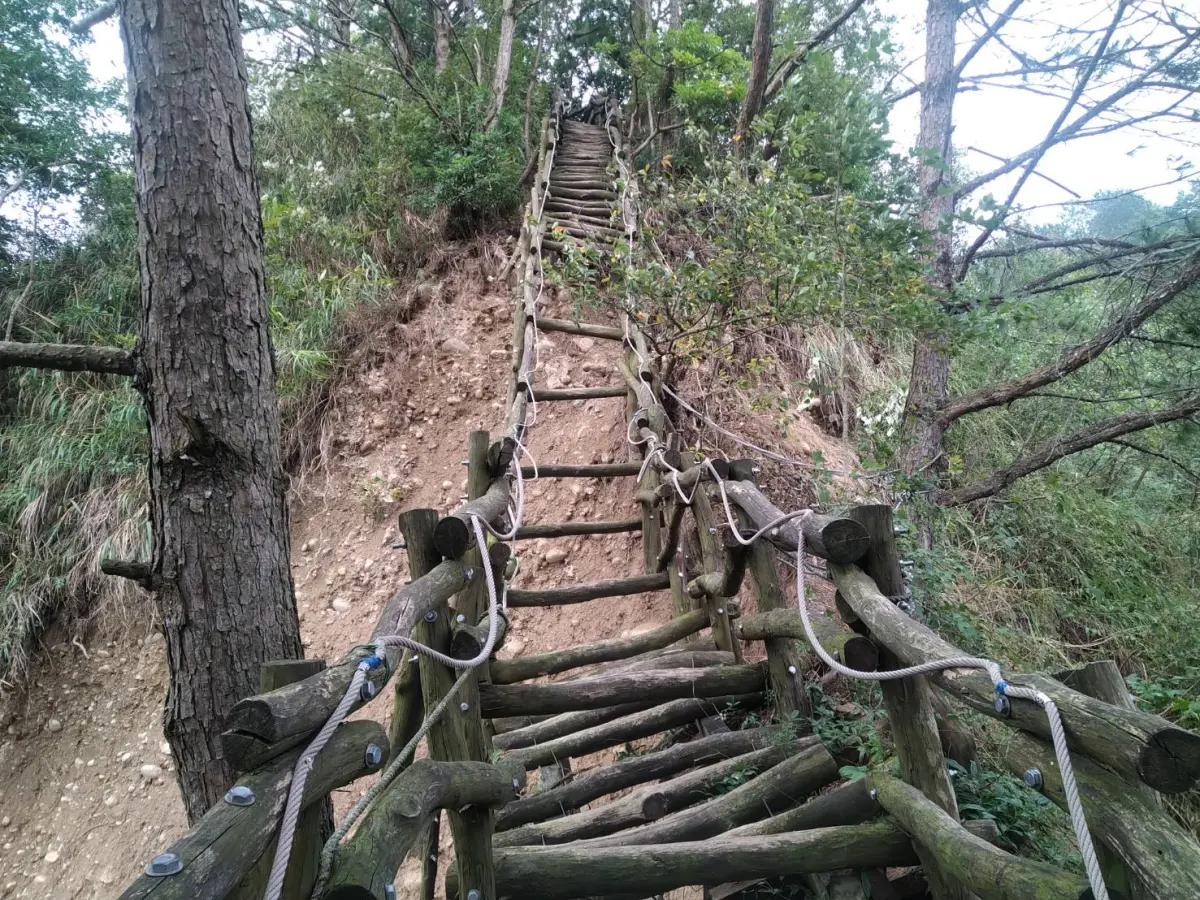 ▲大坑4號步道0kplus420-600間邊坡崩塌(圖／觀旅局提供2024.8.24)