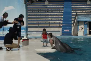 鯨豚娛樂表演將退場 海保署輔導野柳海洋世界、遠雄海洋公園轉型