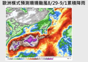 ▲日本各地天氣已被珊珊颱風影響，多處出現大雨情況，預計一路影響至週末，累積雨量相當可觀。（圖／賈新興提供）