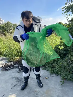 虎頭蜂活躍季節到來,農業處提醒民眾戶外活動要小心。 ▲虎頭蜂活躍季節到來,農業處提醒民眾戶外活動要小心。(圖/新竹縣府農業處)