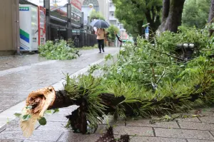 珊珊颱風登陸日本已傳41傷！宮崎刮龍捲風釀災　連室外機都被吹落
