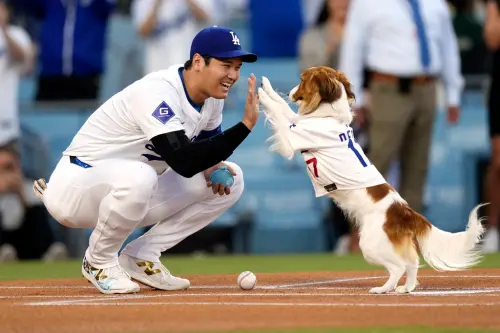 大谷翔平愛犬真的太神！42轟42盜壘大爆發　助道奇6:4逆轉金鶯
