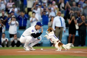 大谷翔平帶愛犬開球讓道奇主場陷瘋狂！直呼好緊張：訓練3個禮拜
