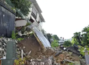 珊珊颱風轉熱帶低氣壓！強襲日本釀6死　「椰樹君」挺過風雨爆紅
