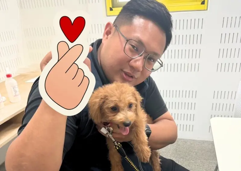 ▲台中市議員吳建德表示，等待新主人的「飛天紅貴賓」非常乖巧、喜歡親近人。（圖／翻攝吳建德臉書，2024.09.04）