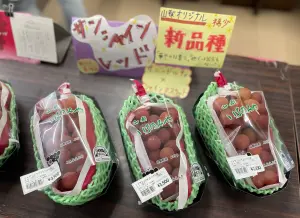 日本新品種葡萄！「陽光紅麝香」真吃得到花香　全球僅日本吃得到
