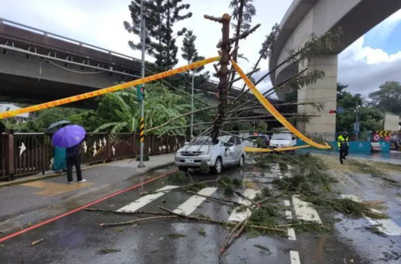 ▲9日下午，新北市土城區中央路四段、福田路口，因受大雨影響路樹倒塌，砸中一台路過的休旅車，駕駛及女乘客受傷送醫。（圖／翻攝畫面）