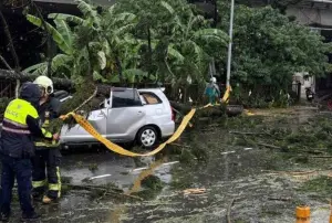 ▲9日下午，新北市土城區中央路四段、福田路口，因受大雨影響路樹倒塌，砸中一台路過的休旅車，駕駛及女乘客受傷送醫。（圖／翻攝畫面）