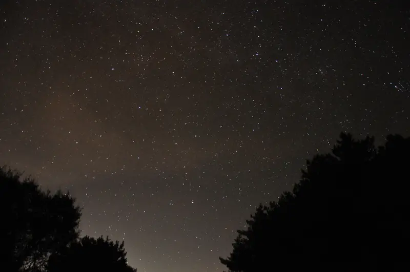 ▲塔塔加地區夜空繁星點點實況－仙后座為秋季重要星座。（圖／玉管處提供）