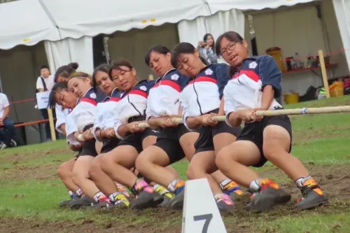 世運會／台灣拔河隊瞄準6連霸！119名國手名單公布　8月征戰成都
