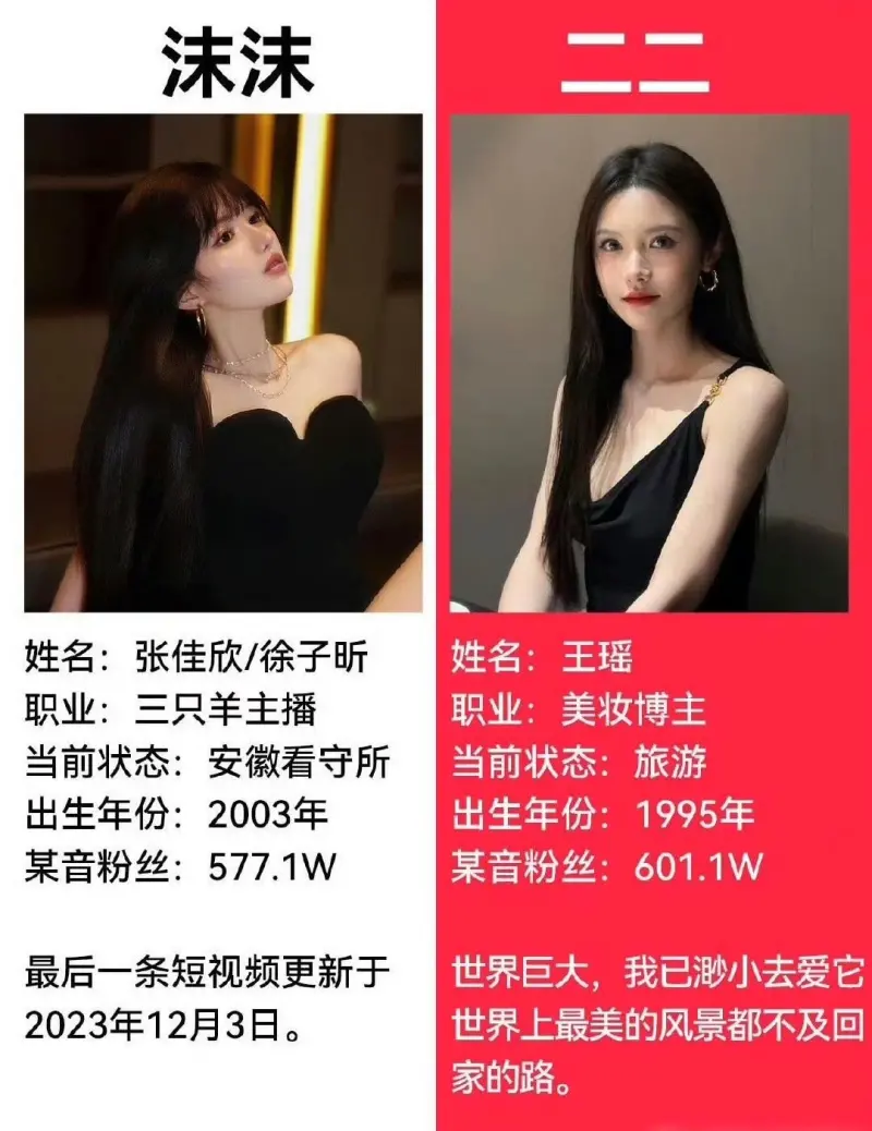 ▲有網友認為小楊哥正宮二二、跟網傳的小三沫沫外型非常相似,還整理兩人資料對比。(圖/微博)
