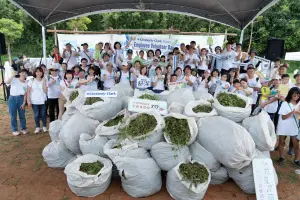 特企／剷除生態綠癌　舒潔品牌製造商號召百人志工團守護台灣森林
