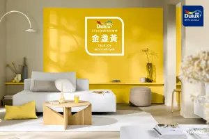 特企／Dulux2025得利年度色彩趨勢　金盞黃True Joy與你實踐夢想
