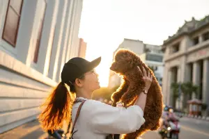 解讀寵物「心內話」！溝通師技術真假難辨
