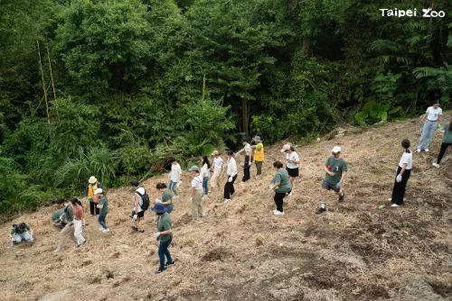 ▲參與活動的200多位企業員工在動物園內坡地親手種植九芎及紅楠等樹苗約計200株。（圖／北市動物園）