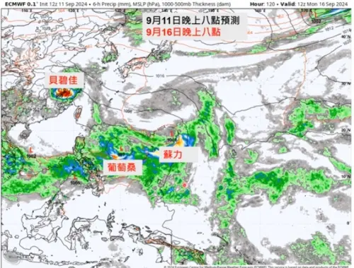 中秋颱不只貝碧佳！葡萄桑、蘇力颱風恐接力生成　下週有雙颱機會
