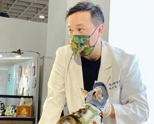 特企/跳蚤不只讓貓咪全身癢 還會引發蟲蟲危機